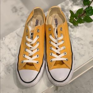 Chick Taylor All Star Seasonal